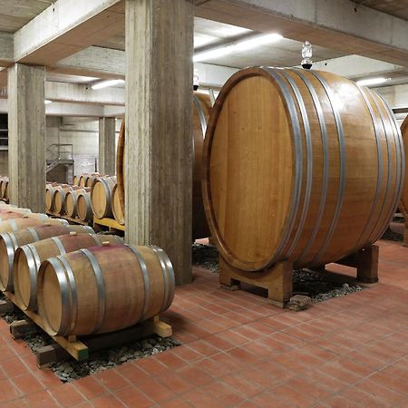 Гостевой дом Poderi Firenze Чиниджиано Экстерьер фото